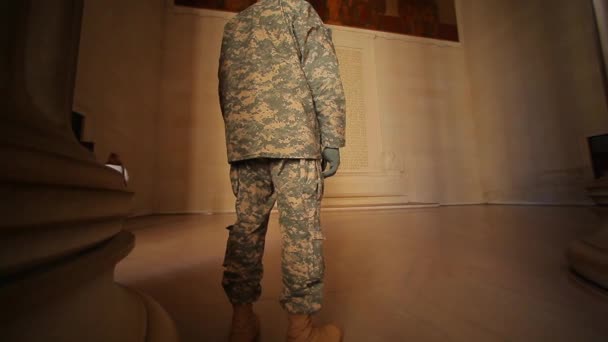Espalda de soldado que está mirando a la constitución — Vídeo de stock