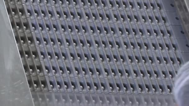 Βολή closeup των πλαστικών φιαλών σε ένα μεταφορέα. — Αρχείο Βίντεο