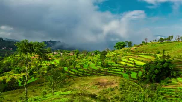Teraszos, termesztett domboldalon Nepálban. — Stock videók