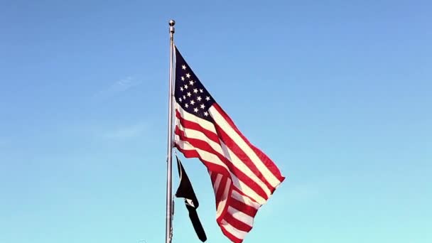 Американський та Pow/МВС прапори — стокове відео