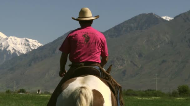Ковбой їде своїм конем — стокове відео