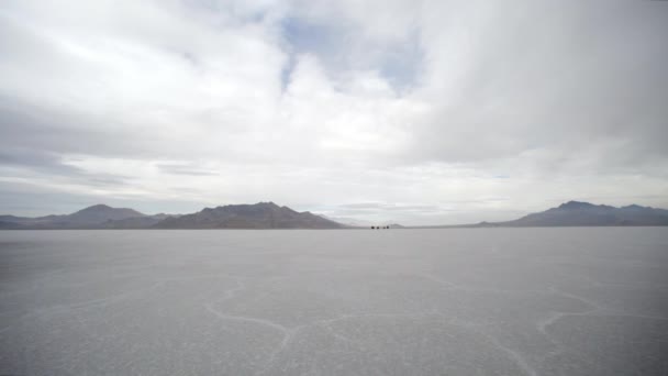 Cavalli che corrono sulle saline di Bonneville — Video Stock