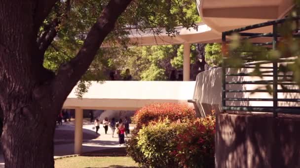 I ragazzi che passeggiavano per il campus dopo la lezione sono usciti in un'università. . — Video Stock