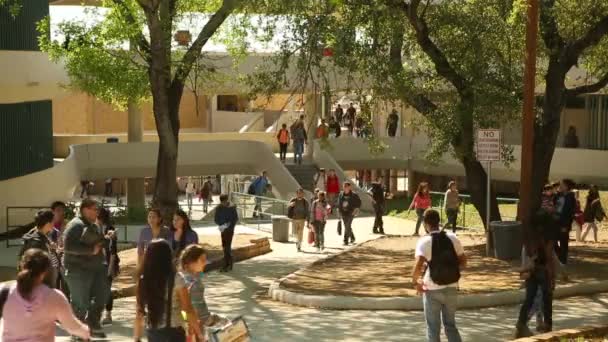 Niños caminando por el campus después de la clase fueron dejados salir en una universidad . — Vídeo de stock