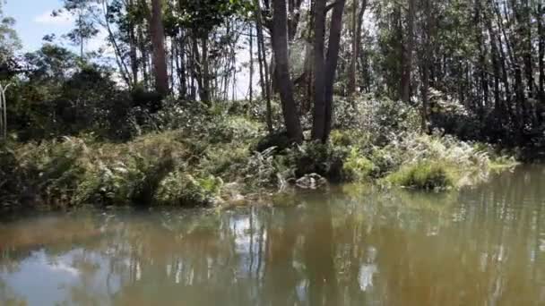 Kajak-kenu úszó le a folyón a dzsungel. — Stock videók
