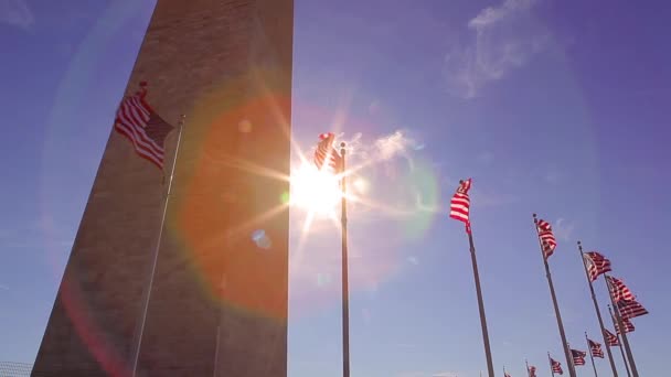 Bandeiras soprando em frente ao Monumento de Washington . — Vídeo de Stock