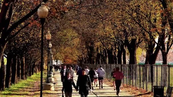 Strom lemované chodník na National Mall plná lidí ve Washingtonu Dc — Stock video
