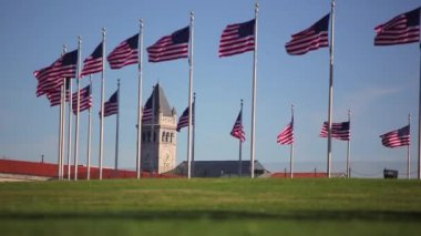 circle of flags with a clock tower in Washington