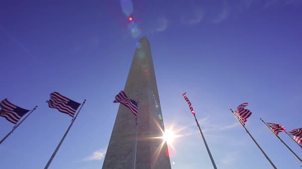 Bandeiras acenando em frente ao Monumento de Washington . — Vídeo de Stock