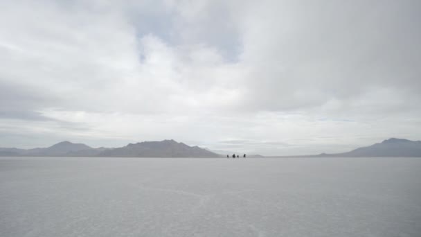 Pferde laufen auf den Bonneville-Salinen — Stockvideo