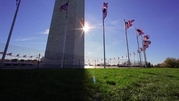 Amerikanska flaggor framför Washington Monument. — Stockvideo