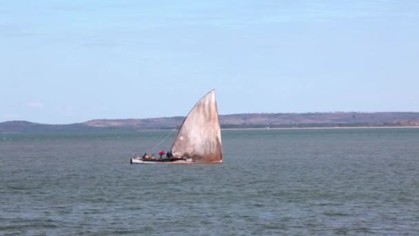 Segelbåt flytande av som vinden blåser sina segel. — Stockvideo