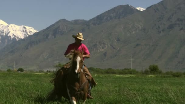 Vaquero en un caballo de galope — Vídeos de Stock