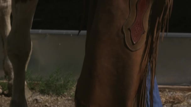 Ковбой погладжує коня Скубальда — стокове відео
