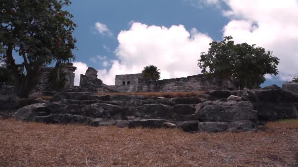 四周绿树环绕的古建筑 — 图库视频影像