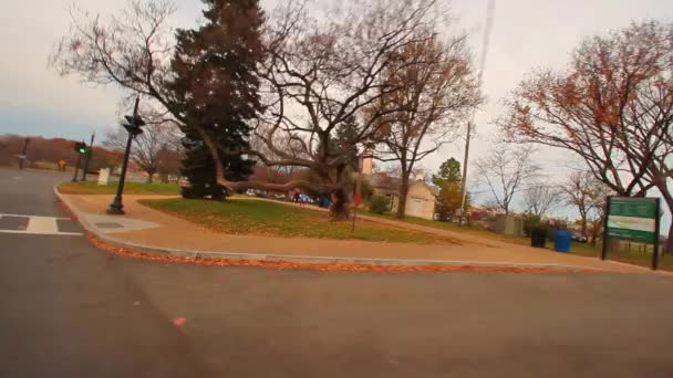 Tracciamento di un albero interessante con il monumento di Washington alle spalle . — Video Stock