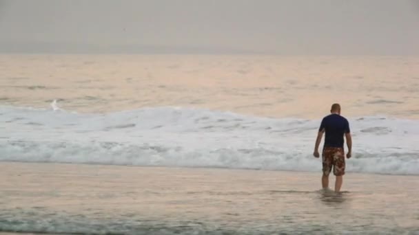 Člověk chodí na pláži — Stock video