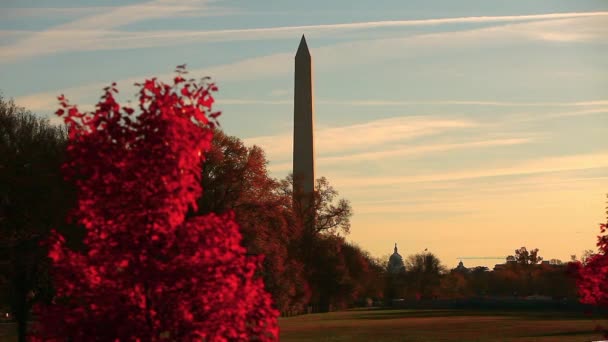 Washington DC 'deki Washington Anıtı — Stok video