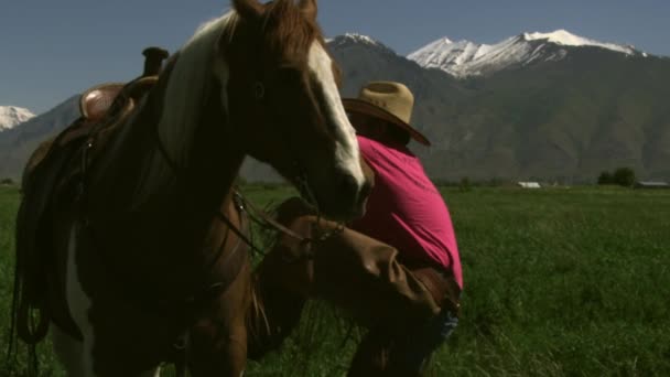 Cowboy chegando em seu cavalo — Vídeo de Stock