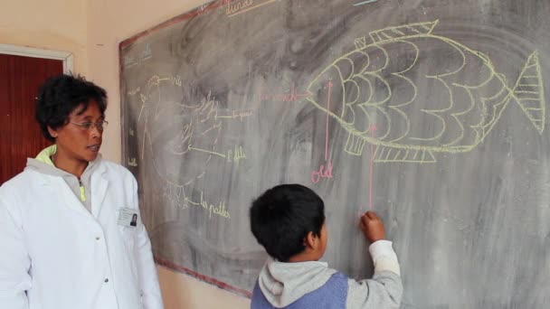 Fiatal fiú és a tanár a chalkboard. — Stock videók