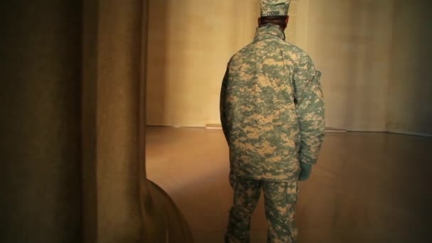 Back of a soldier who is gazing at the constitution. — Stock Video