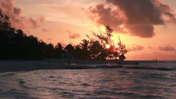 Matahari terbenam yang indah di atas pantai berpasir — Stok Video