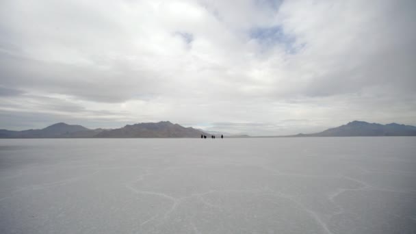 Lovak futás Bonneville sóval lakások — Stock videók