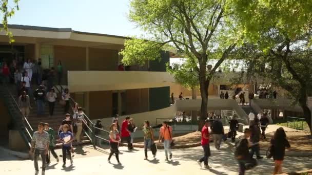 Gyerekek járkálni campus után osztály volt bérbe egy Egyetemen. — Stock videók