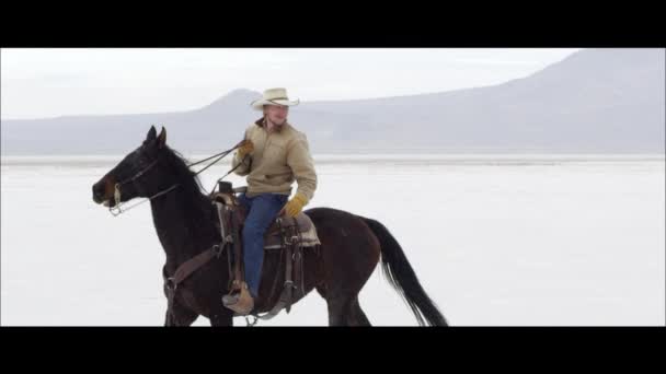 Cowboy op paard rug — Stockvideo
