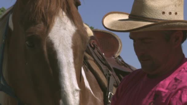 Hombre poniendo un freno a un caballo — Vídeos de Stock