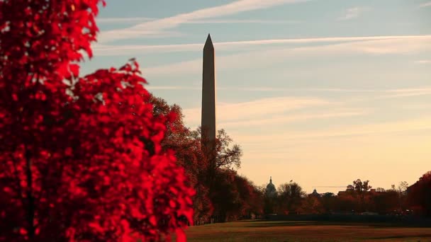 Monumento a Washington DC — Video Stock