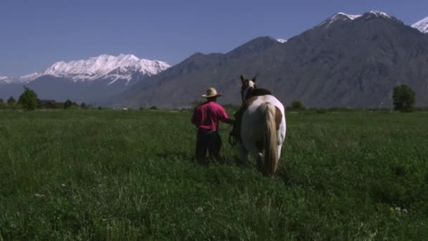 Kowboj, prowadząc konia do łąka — Wideo stockowe