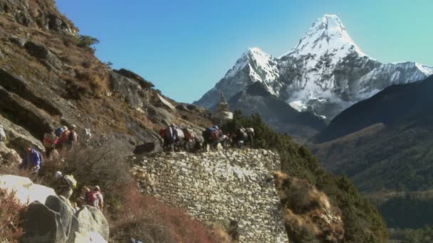 Wanderer und Sherpas tragen Ausrüstung den Weg hinauf — Stockvideo