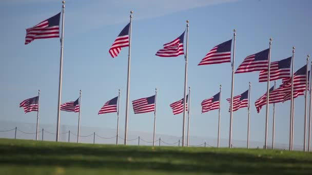 Cerchio di bandiere a Washington DC . — Video Stock