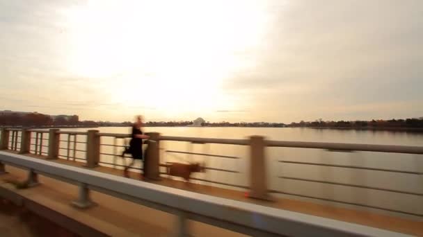 Tracking shot för Tidal Basin med Thomas Jefferson Memorial i bakgrunden. — Stockvideo