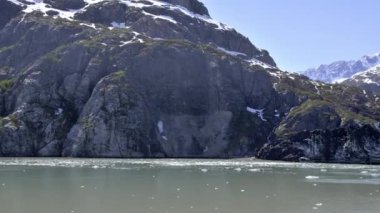 Buzlu dağ tarafı Glacier Bay