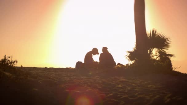 Twee mensen naast een boom op het strand — Stockvideo