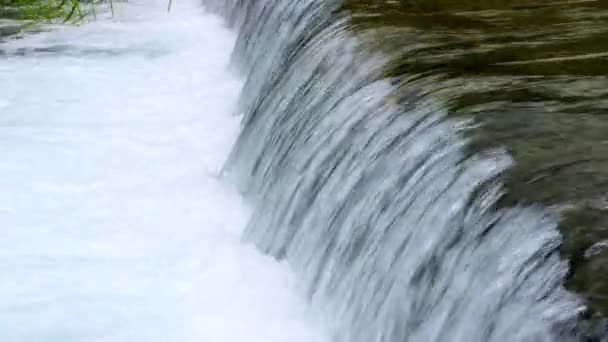 Strömmande vatten från Banias våren i Israel — Stockvideo