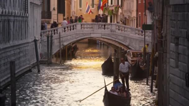 Neerwaartse Slow Motion tilt shot van focus op een gondelier in Venetië, Italië. — Stockvideo