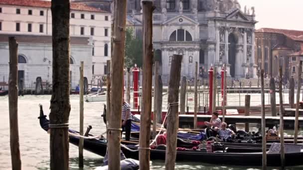Docked gondolas and their gondoliers — Stock Video