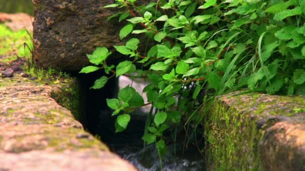 Agua que fluye a través de una antigua alcantarilla de piedra en Israel — Vídeos de Stock