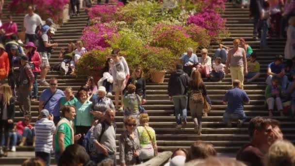 Überfüllte Treppen an der Trinita dei Monti — Stockvideo