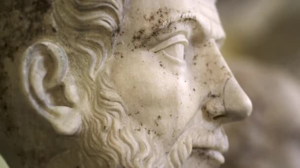 Римський камінь бюст скульптури у Ватикані — стокове відео
