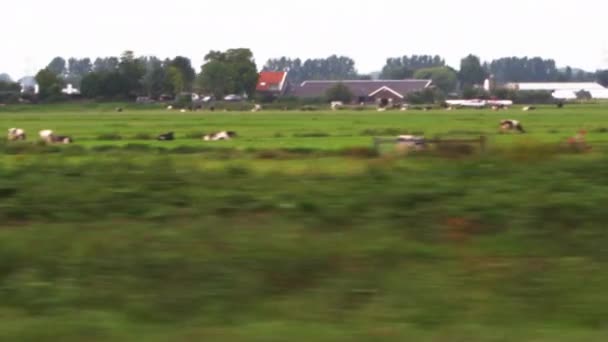 Снимок сельской местности Амстердама — стоковое видео