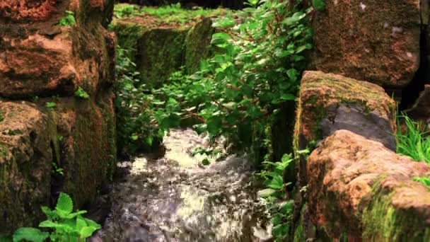 An ancient aqueduct in Israel — Stock Video