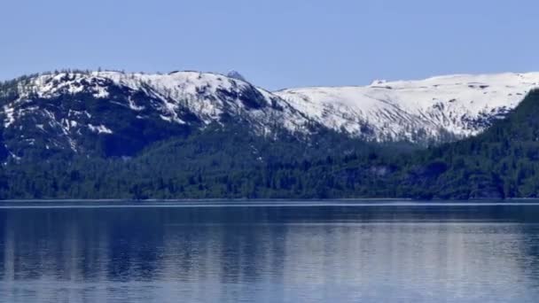 Pobřeží podél vody Glacier Bay — Stock video