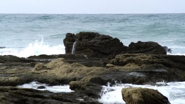 Vlny a skalnaté pobřeží v Izraeli — Stock video
