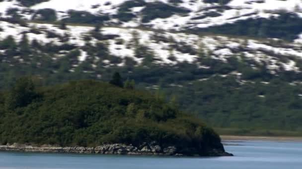 氷河湾の海岸の上の緑の丘 — ストック動画