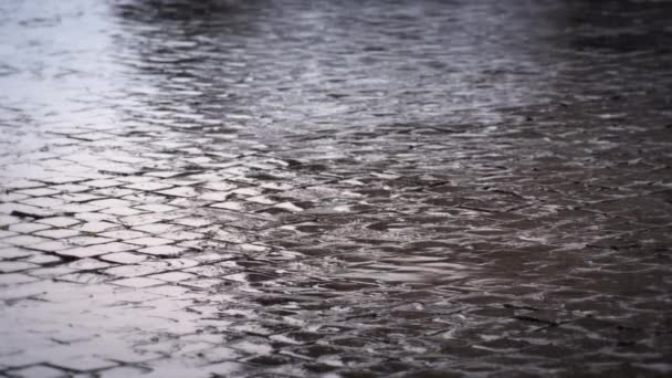 Adoquines empapados en lluvia de la calle romana — Vídeos de Stock