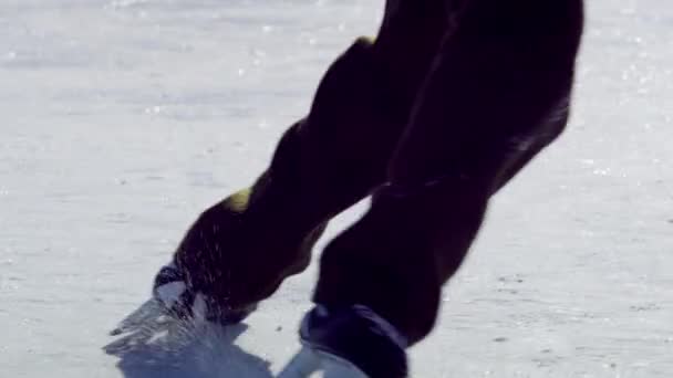 Мальчик капает хоккейную шайбу в круг — стоковое видео